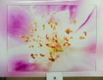 Foto_9