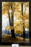 Foto_3