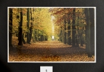 Foto_5
