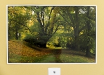 Foto_9