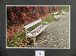 Foto_10