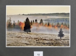 Foto_12
