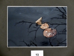 Foto_13
