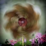 Pohyb 2024_6